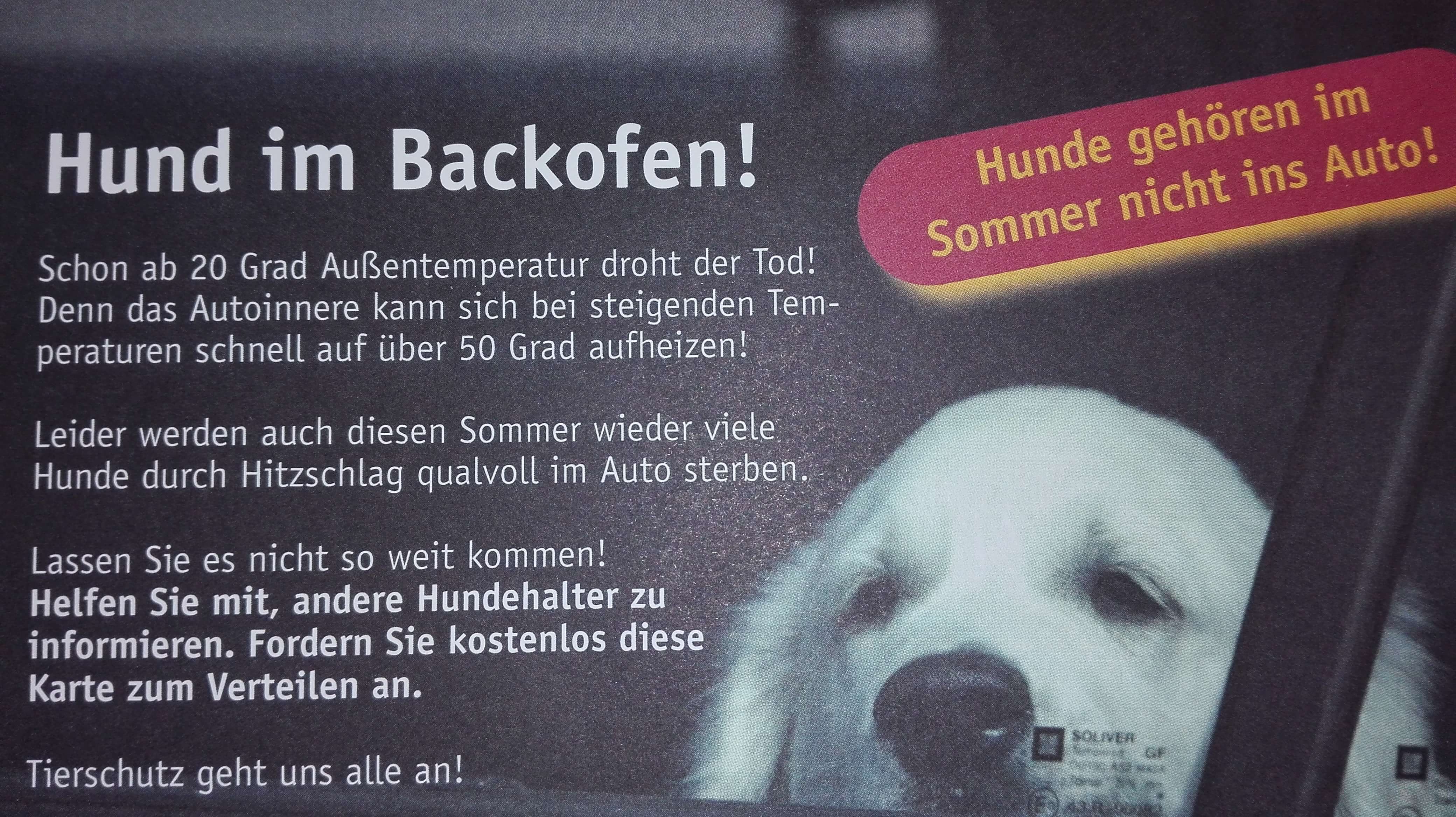 Hund im Backofen - yvonnekoppers.de